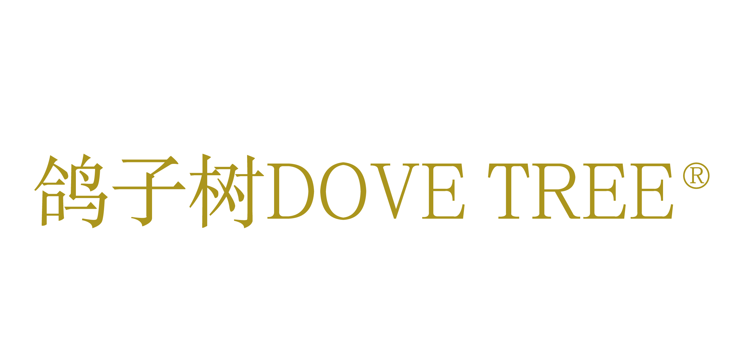 鸽子树Logo